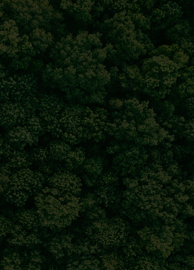 더 플래티너에서 완성되는 프리미엄의 숲