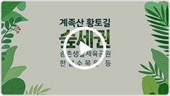 인포그래픽영상