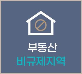 부동산 비규제지역